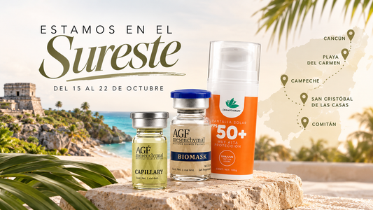 ¡Beauty Creators llega a tu ciudad! Prepárate para las temporadas más fuertes del año